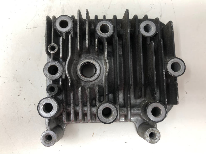 594989 Briggs & Stratton Cylinder Head