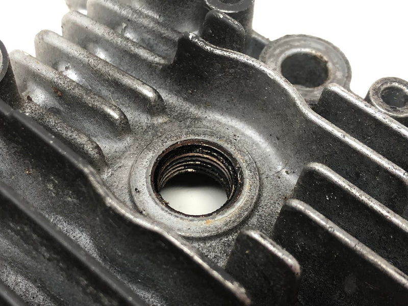 594989 Briggs & Stratton Cylinder Head