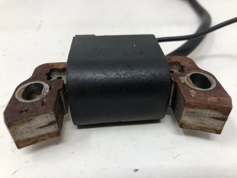 595291 Briggs & Stratton Magneto Armature