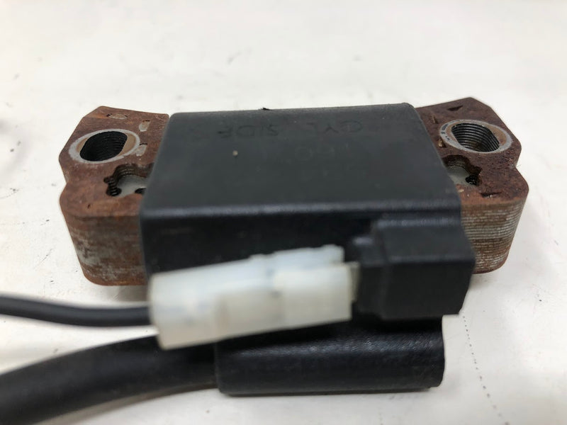 595291 Briggs & Stratton Magneto Armature