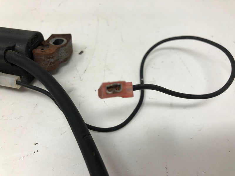 595291 Briggs & Stratton Magneto Armature