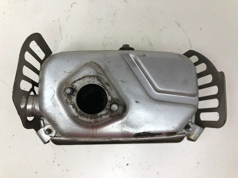 798940 Briggs & Stratton Muffler + Guard