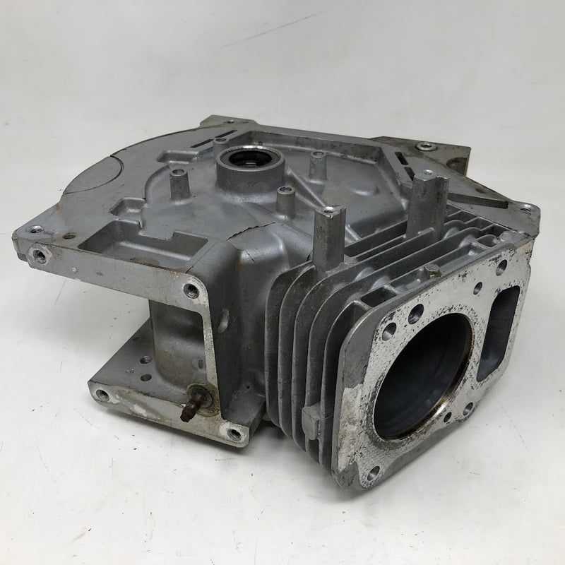 699510 Briggs & Stratton Cylinder Assembly
