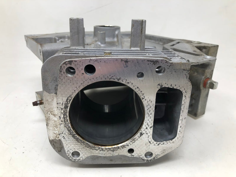 699510 Briggs & Stratton Cylinder Assembly