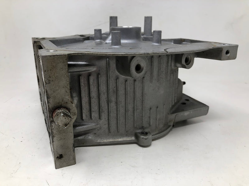 699510 Briggs & Stratton Cylinder Assembly