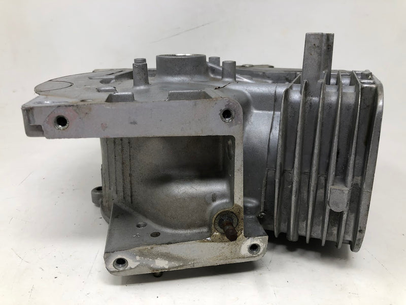 699510 Briggs & Stratton Cylinder Assembly
