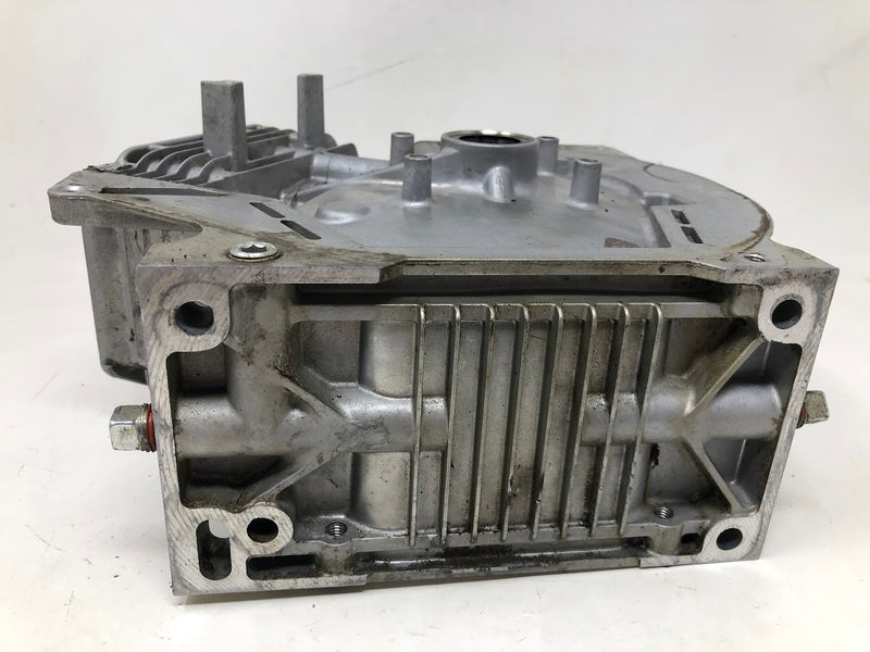 699510 Briggs & Stratton Cylinder Assembly