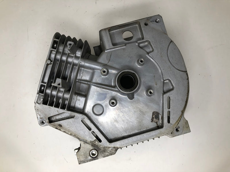 699510 Briggs & Stratton Cylinder Assembly