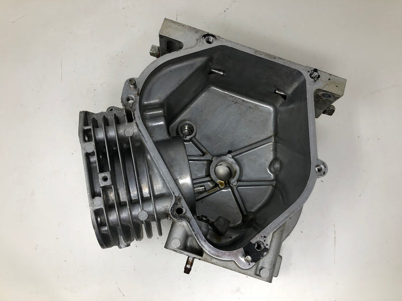 699510 Briggs & Stratton Cylinder Assembly