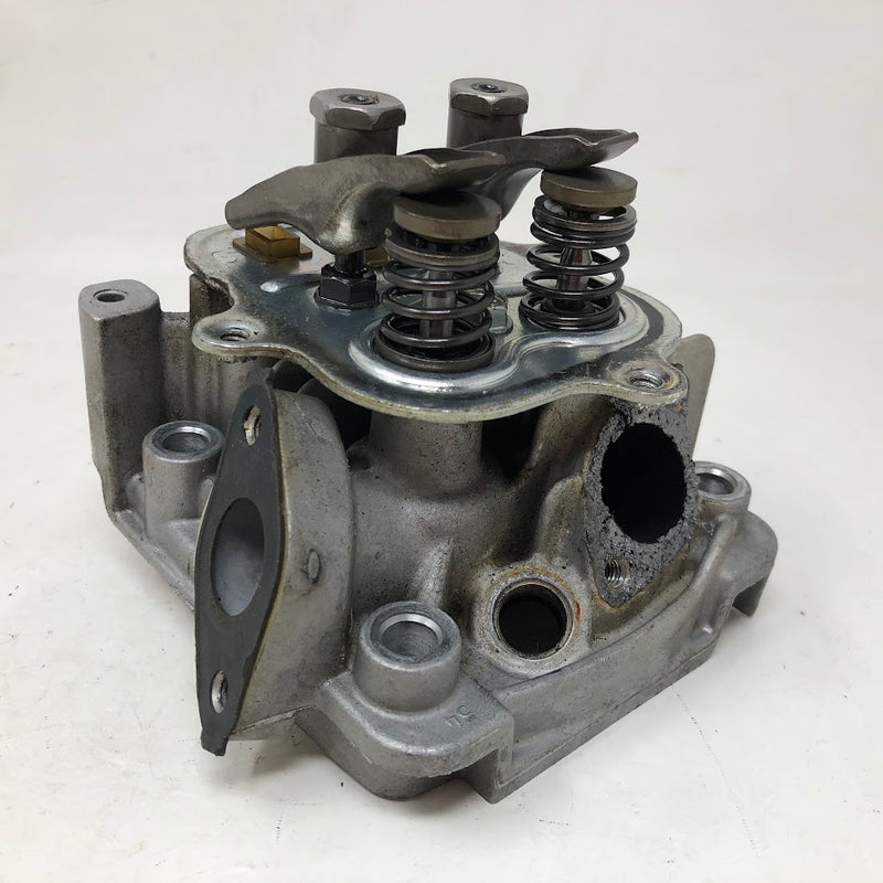 797439 Briggs & Stratton Cylinder Head
