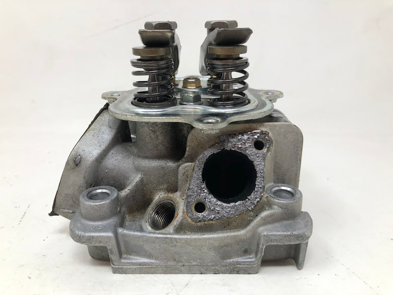 797439 Briggs & Stratton Cylinder Head