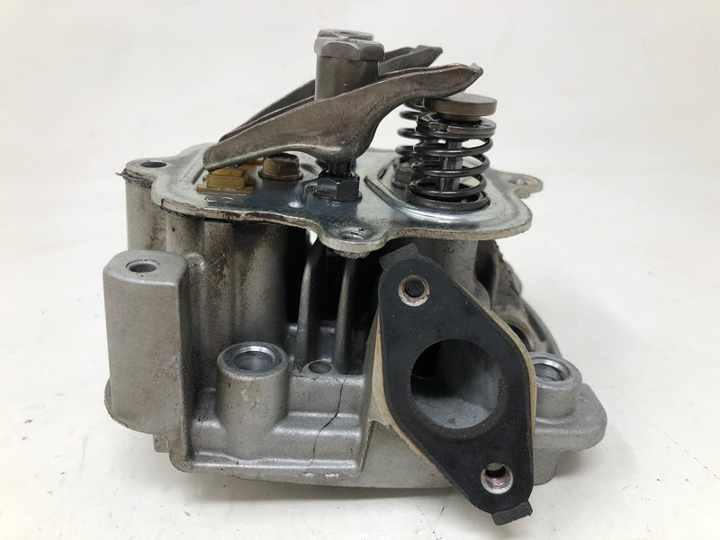 797439 Briggs & Stratton Cylinder Head