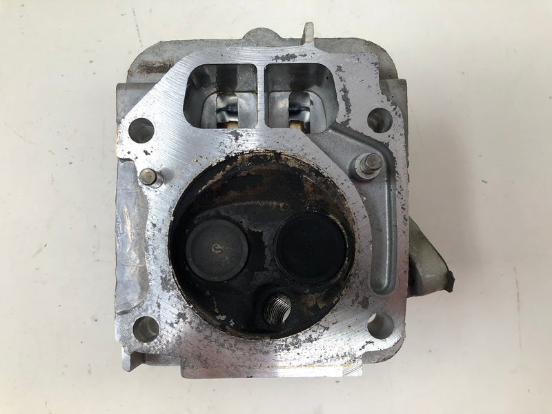 797439 Briggs & Stratton Cylinder Head