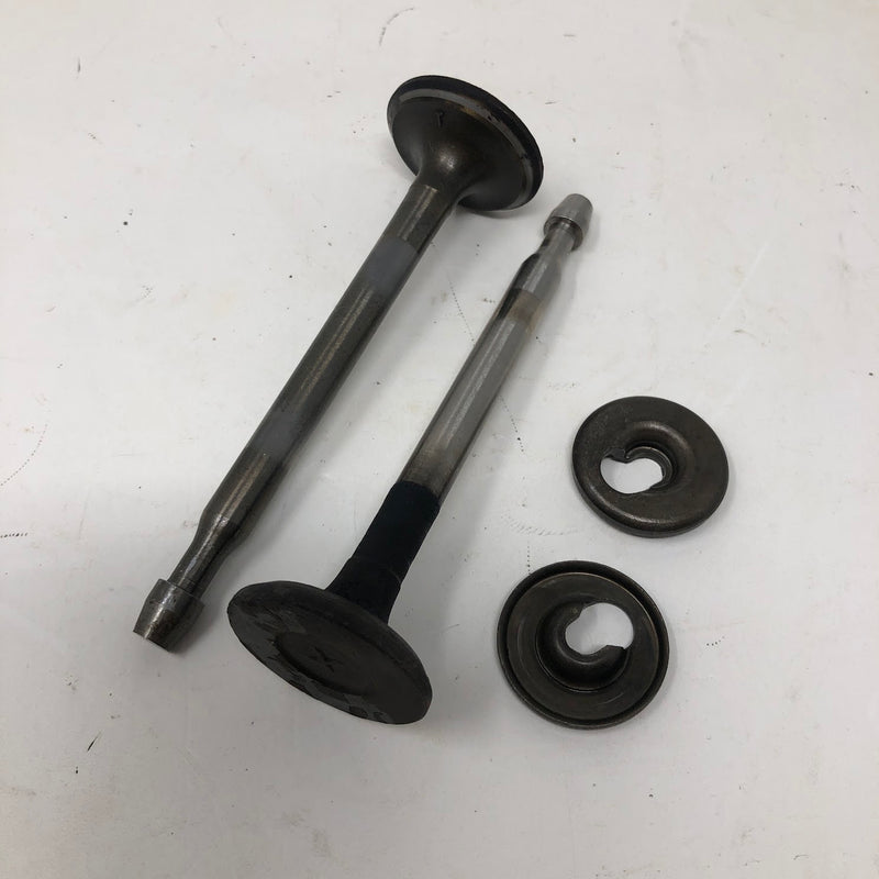 Tecumseh Valves & Spring Retainers (x2)