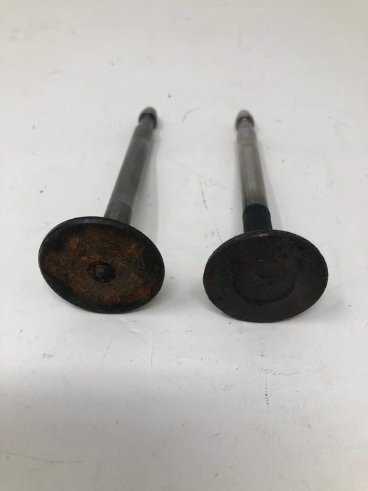 Tecumseh Valves & Spring Retainers (x2)