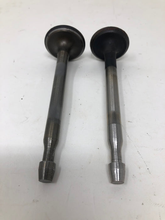 Tecumseh Valves & Spring Retainers (x2)
