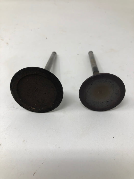 591751 Briggs & Stratton Intake + Exhaust Valves