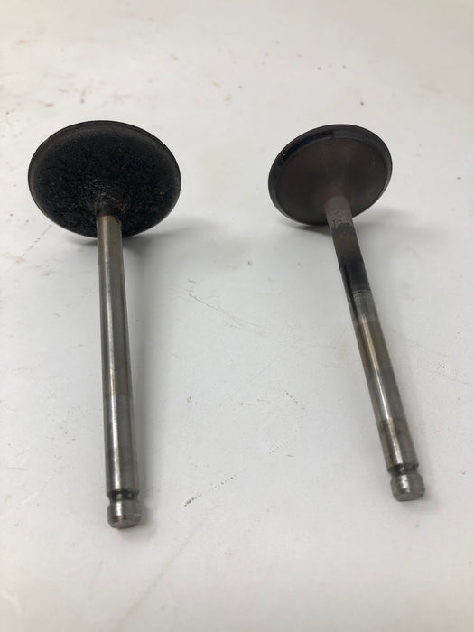 591751 Briggs & Stratton Intake + Exhaust Valves