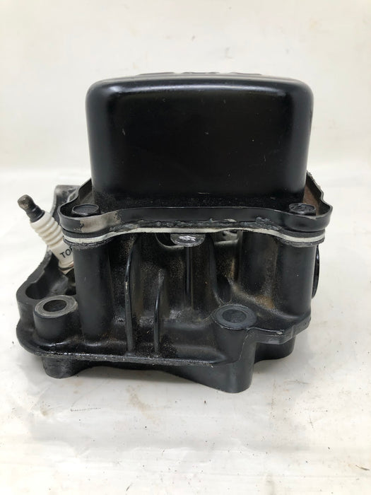 796471 Briggs & Stratton Cylinder Head