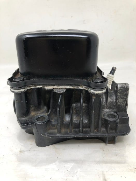 796471 Briggs & Stratton Cylinder Head