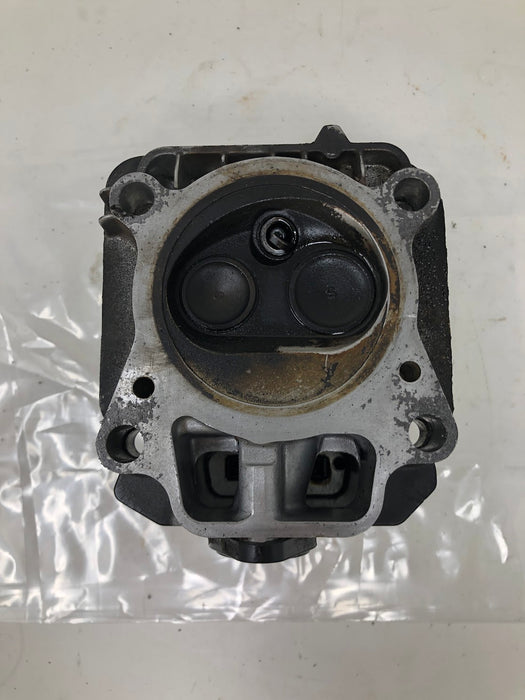 796471 Briggs & Stratton Cylinder Head