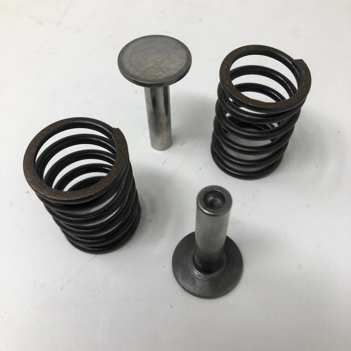 690977 Briggs & Stratton Valve Tappets + Springs