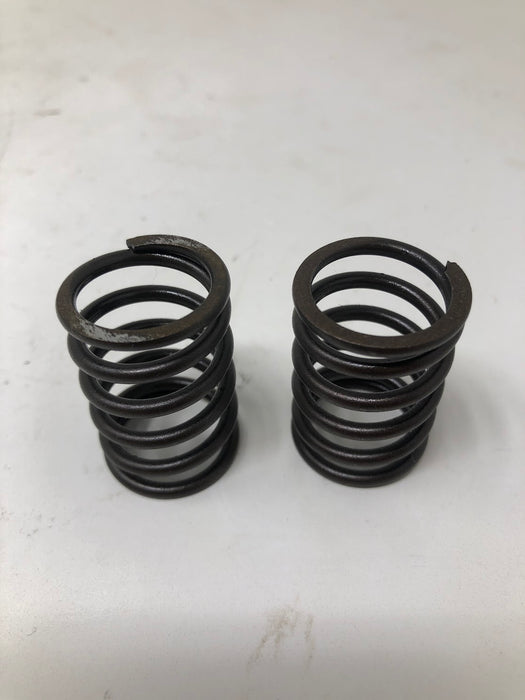690977 Briggs & Stratton Valve Tappets + Springs