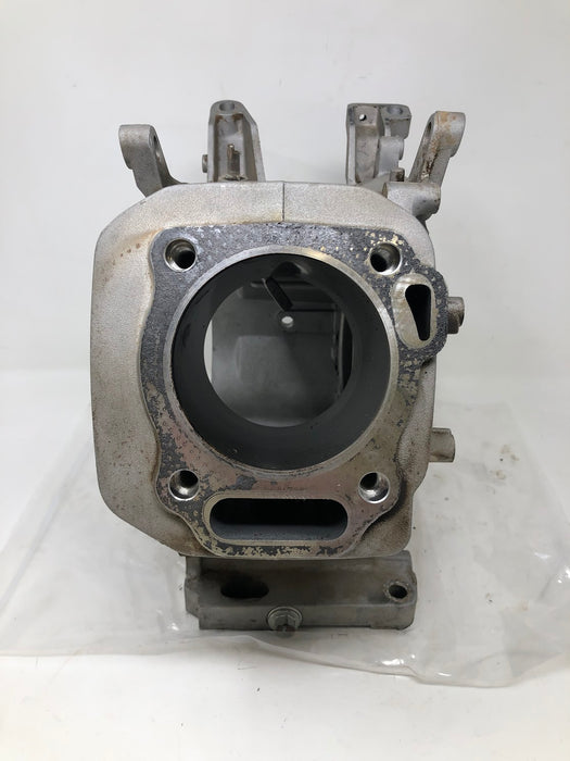 11310 DR Crankcase