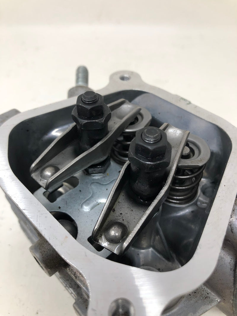 77506 Briggs & Stratton Cylinder Head Assembly