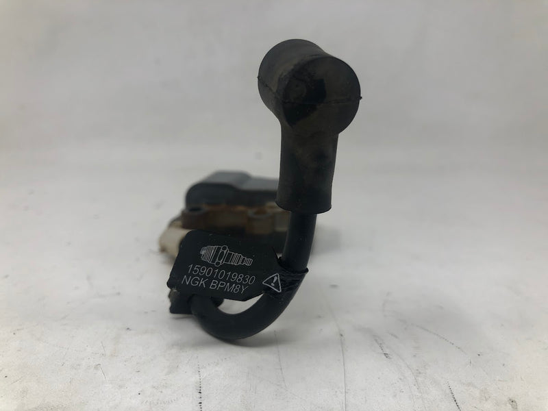 A411000221 Echo Ignition Coil