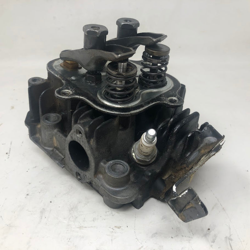795501 Briggs & Stratton Cylinder Head