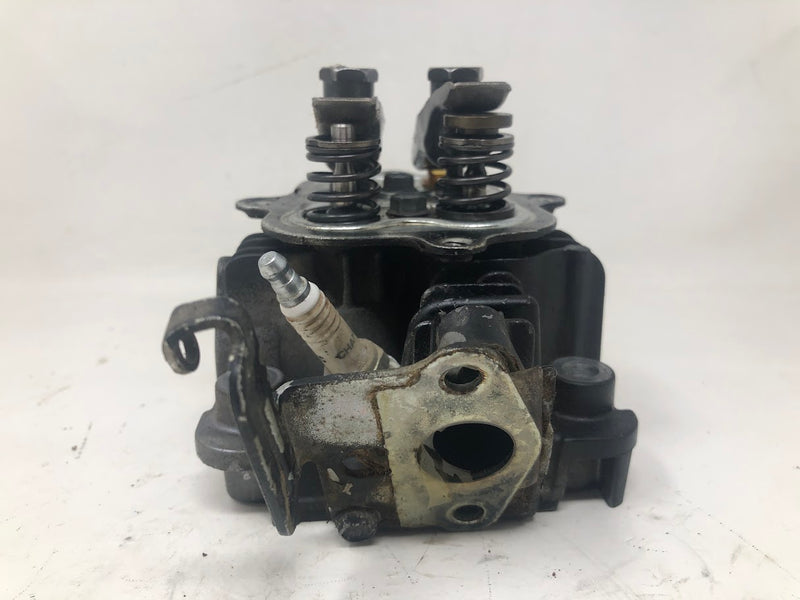 795501 Briggs & Stratton Cylinder Head
