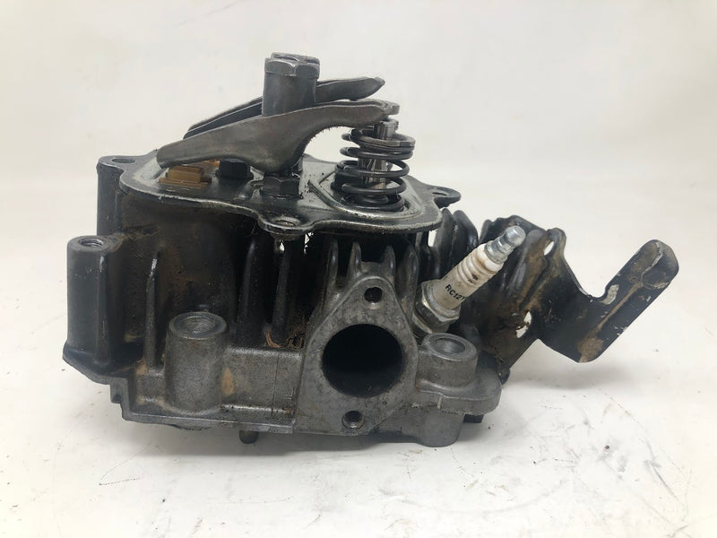 795501 Briggs & Stratton Cylinder Head