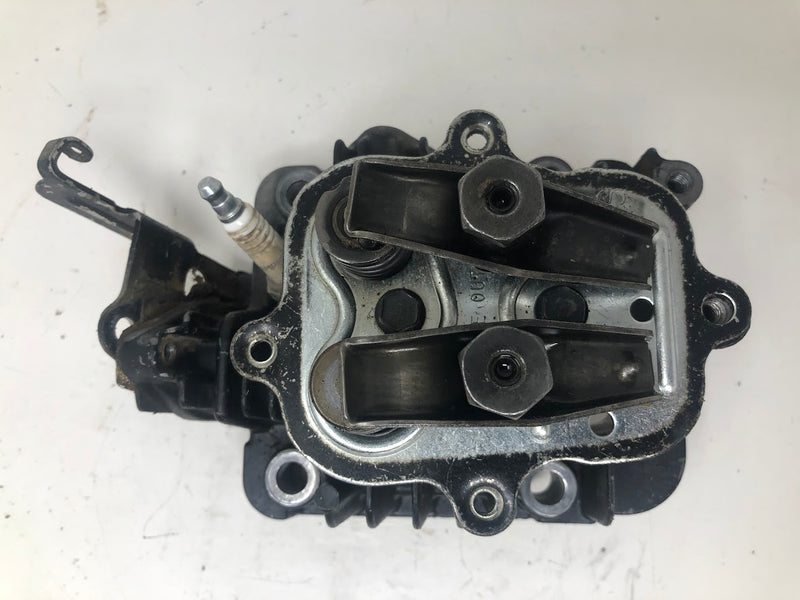 795501 Briggs & Stratton Cylinder Head