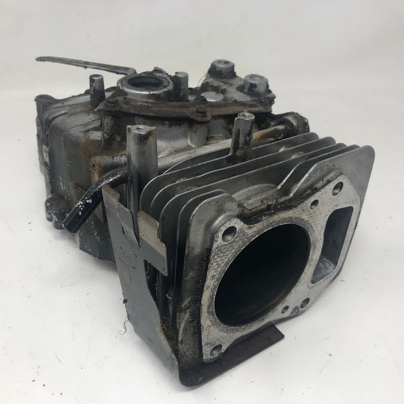 790363 Briggs & Stratton Cylinder Assembly