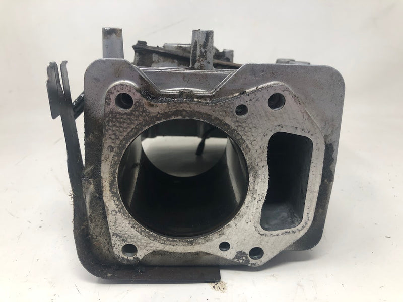 790363 Briggs & Stratton Cylinder Assembly