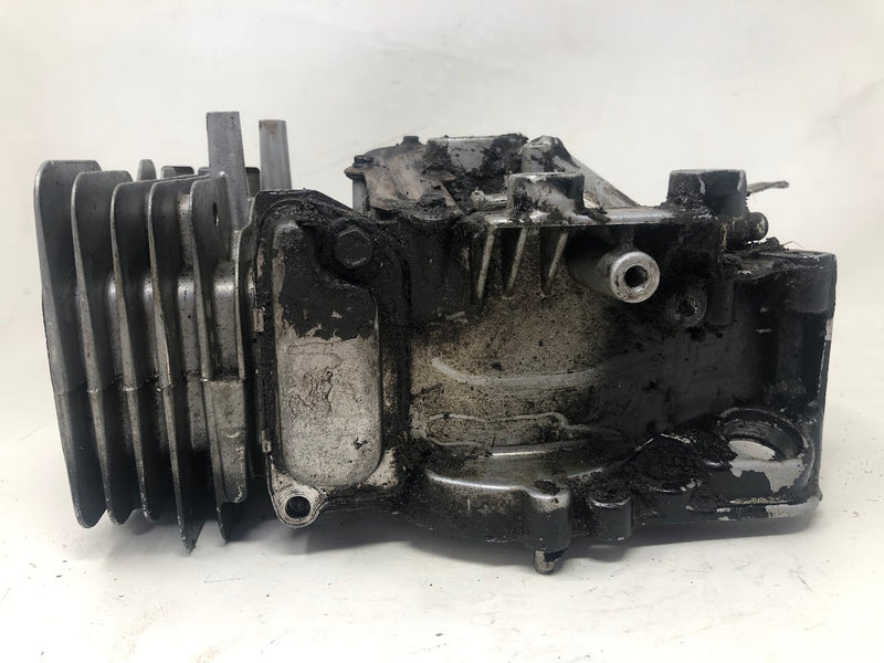790363 Briggs & Stratton Cylinder Assembly