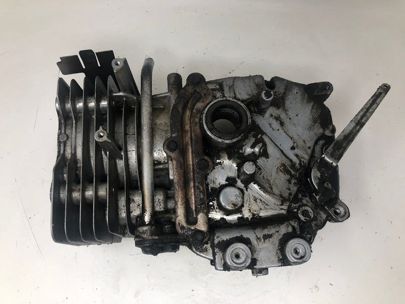 790363 Briggs & Stratton Cylinder Assembly