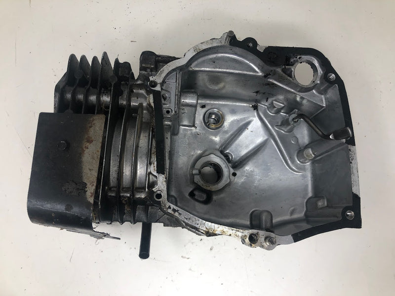 790363 Briggs & Stratton Cylinder Assembly