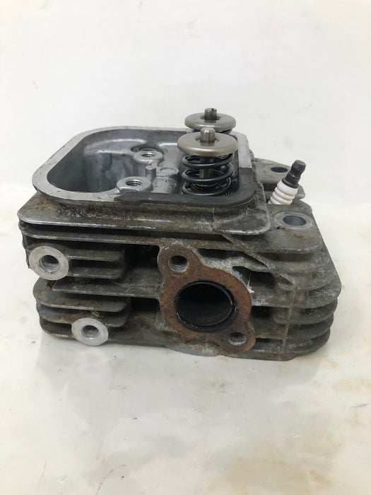 809201 Briggs & Stratton V-Twin Cylinder Head