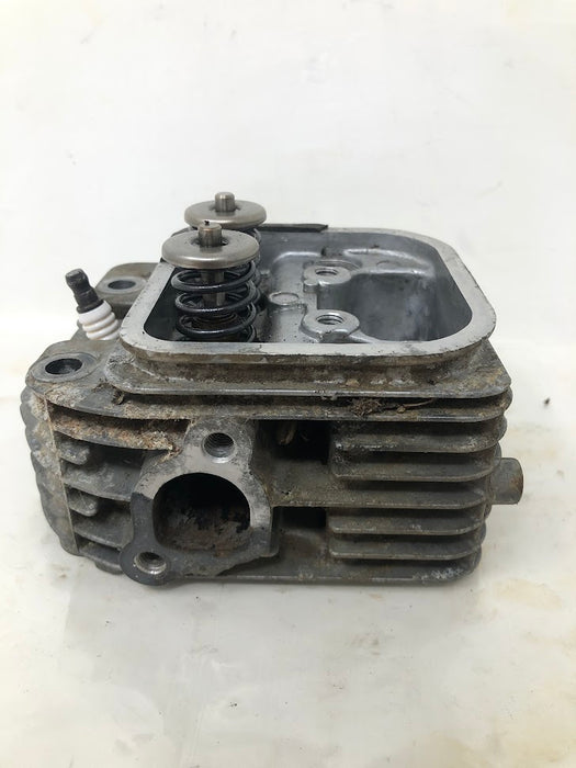 809201 Briggs & Stratton V-Twin Cylinder Head
