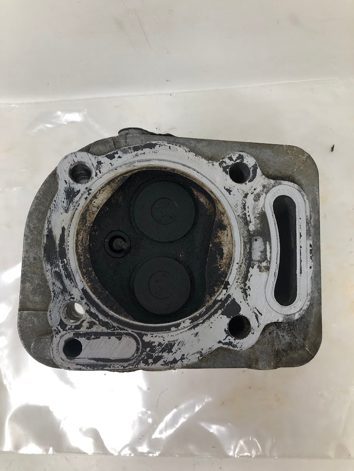809201 Briggs & Stratton V-Twin Cylinder Head