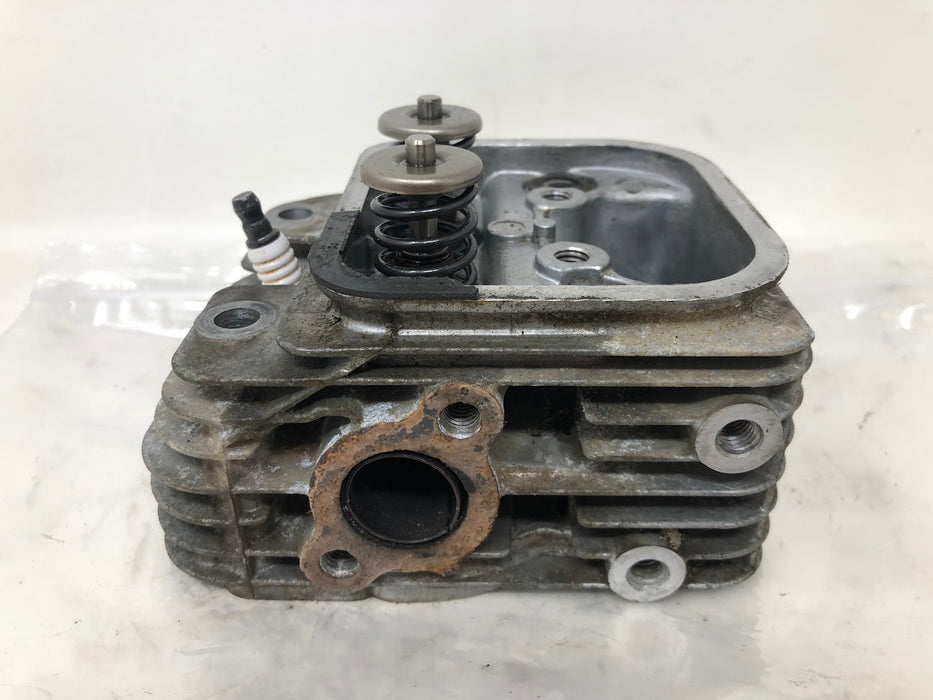 809200 Briggs & Stratton V-Twin Cylinder Head