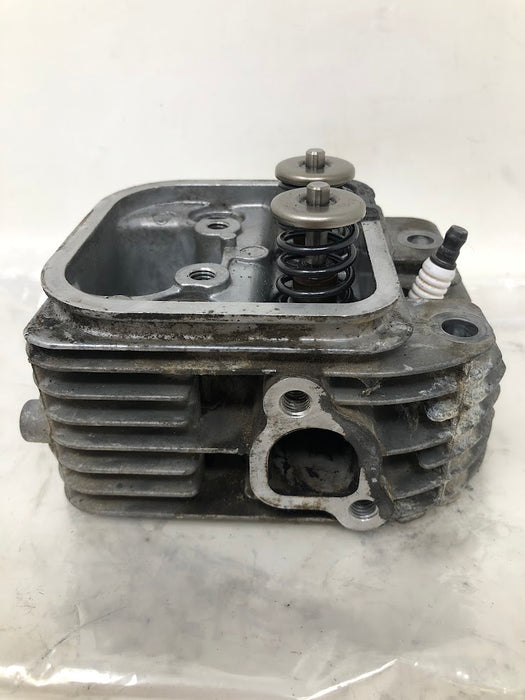 809200 Briggs & Stratton V-Twin Cylinder Head