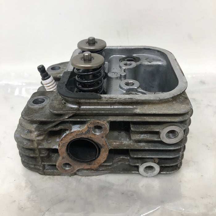 809200 Briggs & Stratton V-Twin Cylinder Head