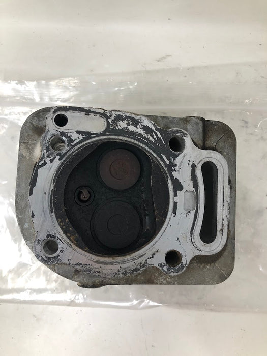 809200 Briggs & Stratton V-Twin Cylinder Head