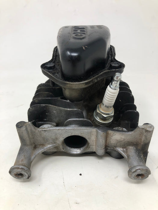 595351 Briggs & Stratton Cylinder Head Assembly
