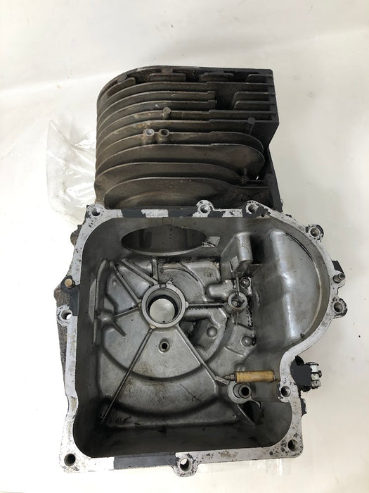 496413 Briggs & Stratton Cylinder Assembly
