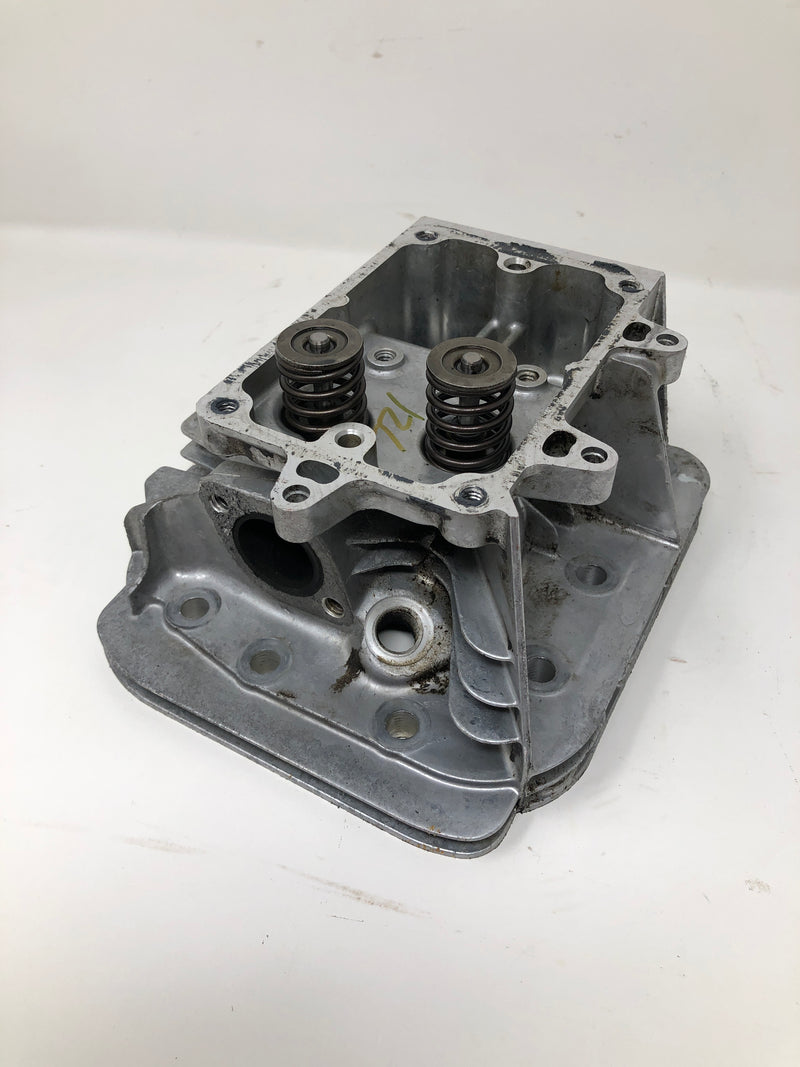 591750 Briggs & Stratton Cylinder Head