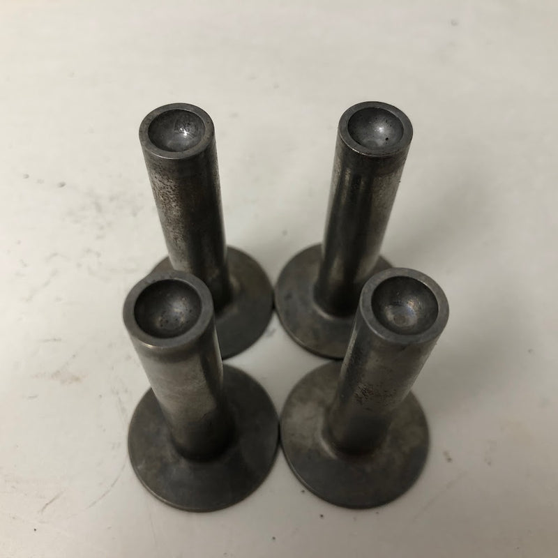 37373 Tecumseh Valve Lifters (x4)